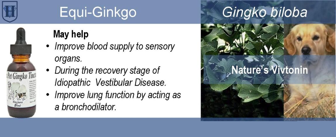 Pet Ginkgo Liquid