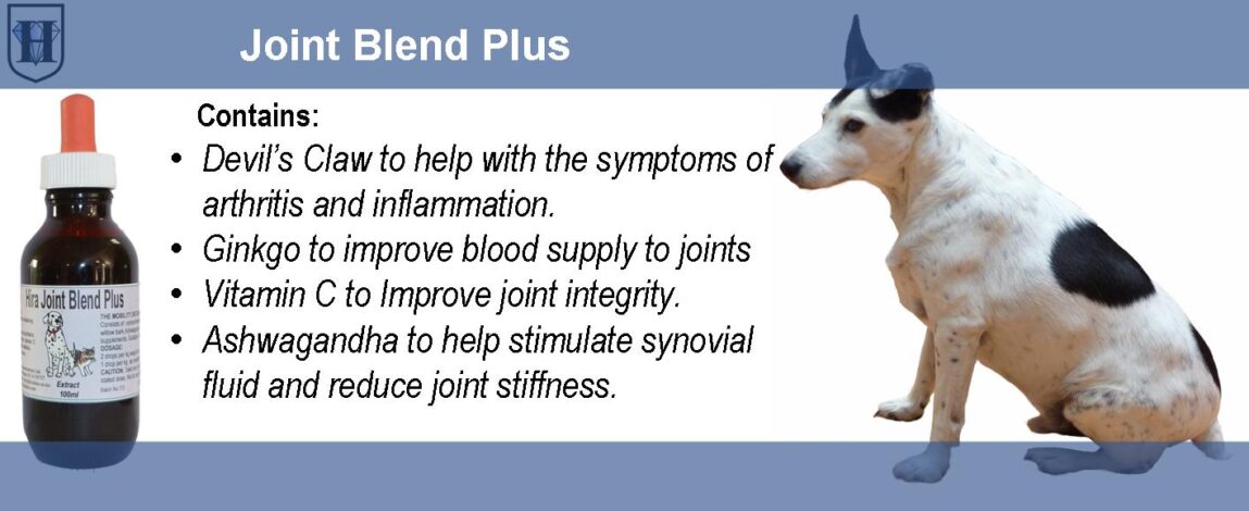 Pet Joint Blend Plus Extract