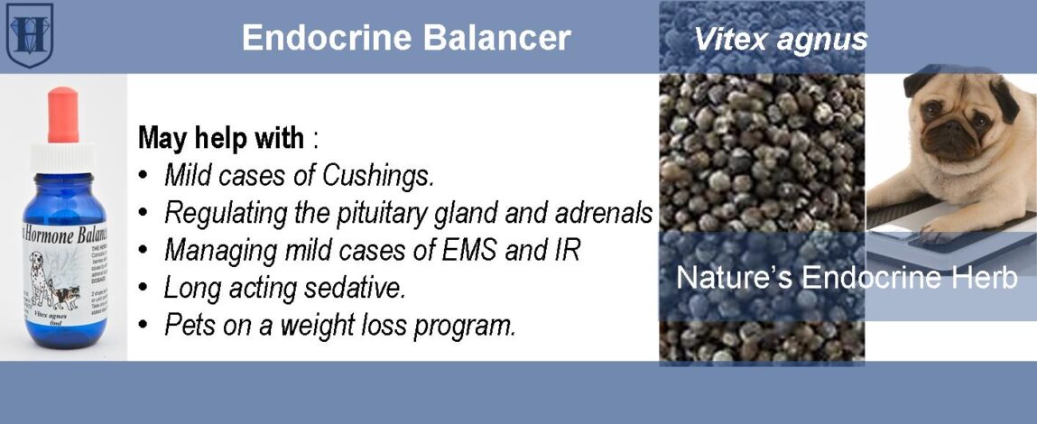 Pet Vitex Agnus Extract