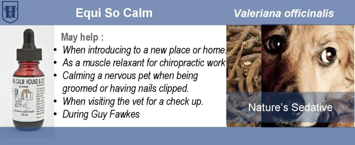 Pet Valerian Extract