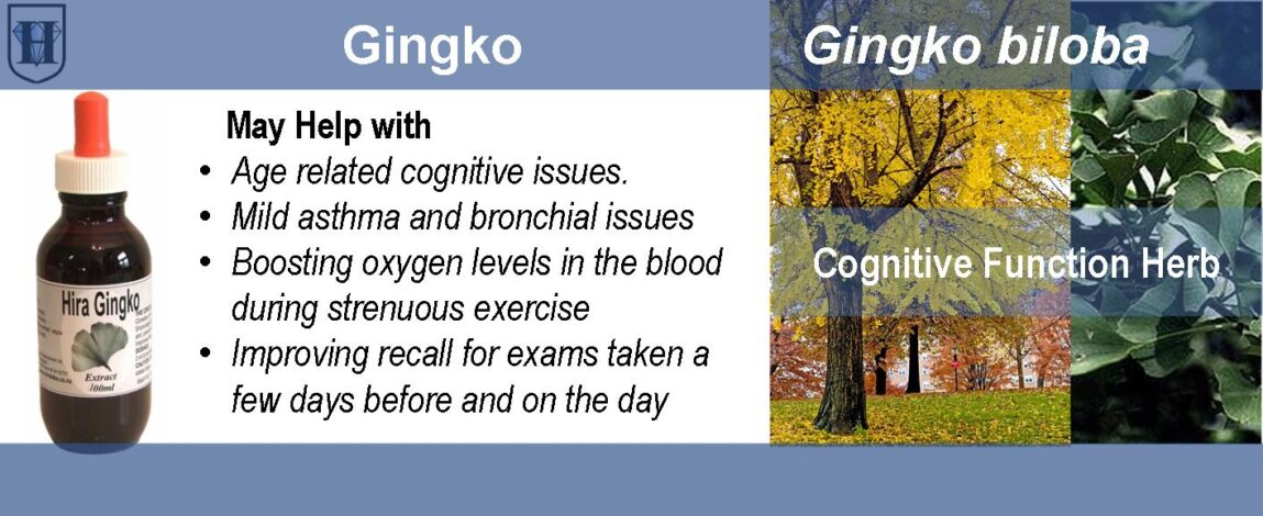 p-People-Product-Ginkgo Extract Ginkgo Biloba Liquid