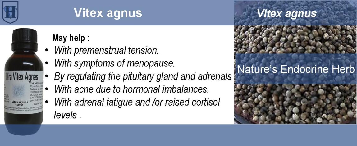 p-people-product-Vitex Agnus Vitex Agnus-Castus Liquid