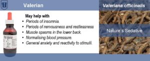 A slider shows the pictures of a brown bottle and valerian officinalis roots. It also describes the uses of the herb