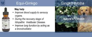 A slider shows images of a brown bottle with extract, a dog and ginkgo leaves. It also describes the uses of ginkgo extract