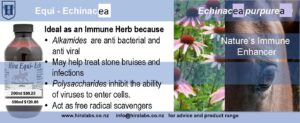 A slider shows pictures of 200ml amber bottle with echinacea extract; echinacea flowers and a horse